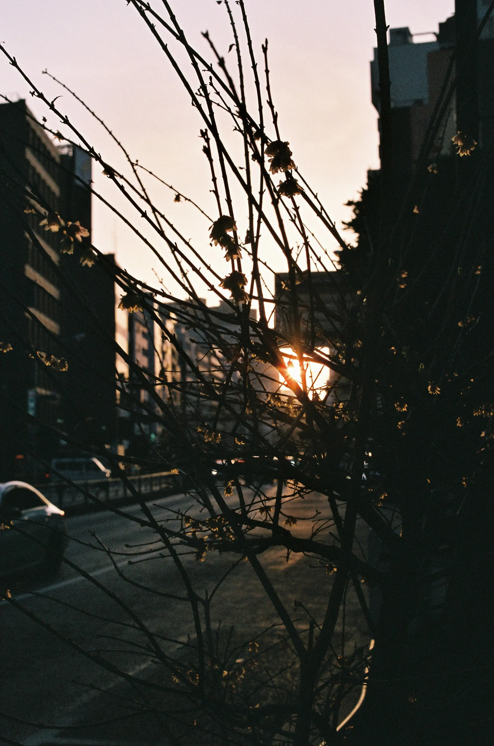 Long Night Good Morning